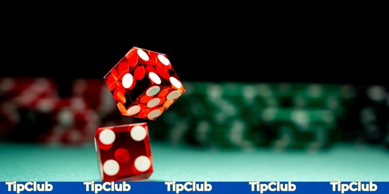 Đánh theo cầu là sự lựa chọn hoàn hảo cho hội viên